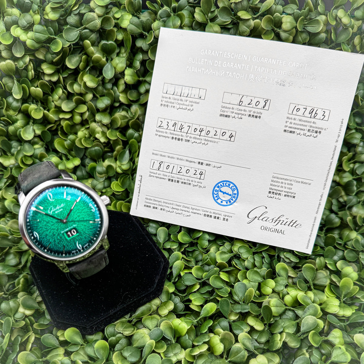 Glashütte Original Sixties Panorama Date — Green Dégradé Dial, 42mm